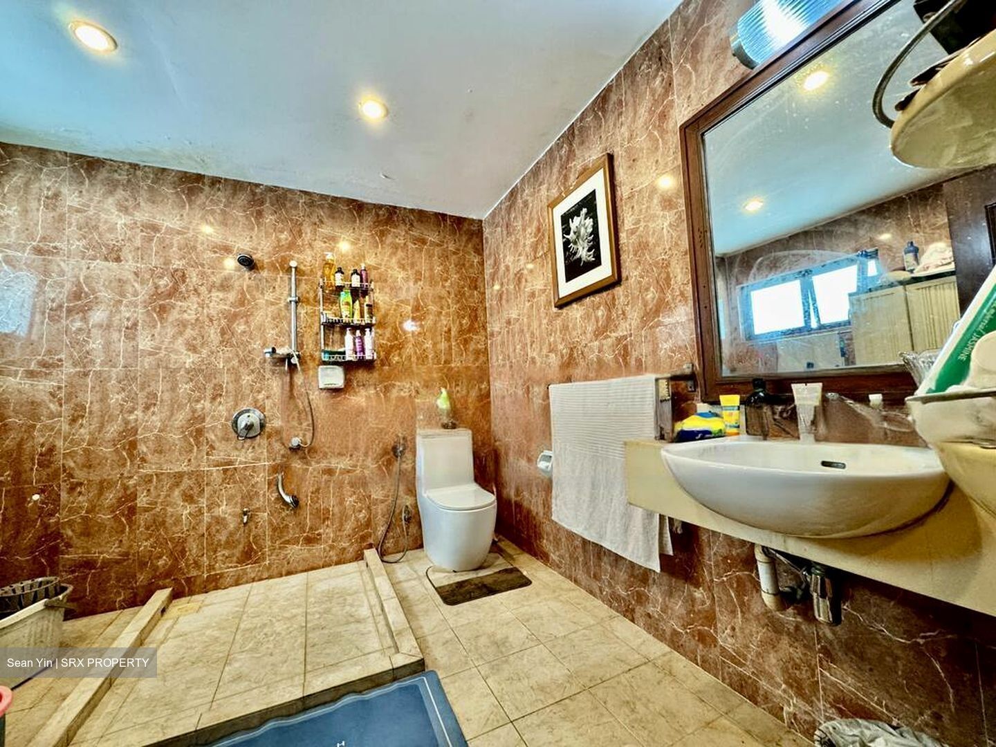 Peakview Estate (D16), Terrace #461036371